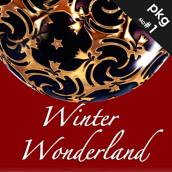 #1 WINTER WONDERLAND