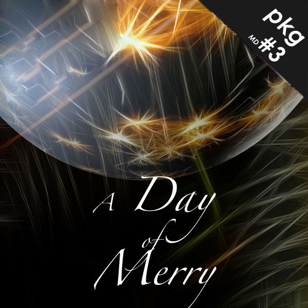 Luxury Spa Treatment Packages for Christmas Holidays at Pure Day Spa in Windsor, Tecumseh and Amherstburg, Ontario.